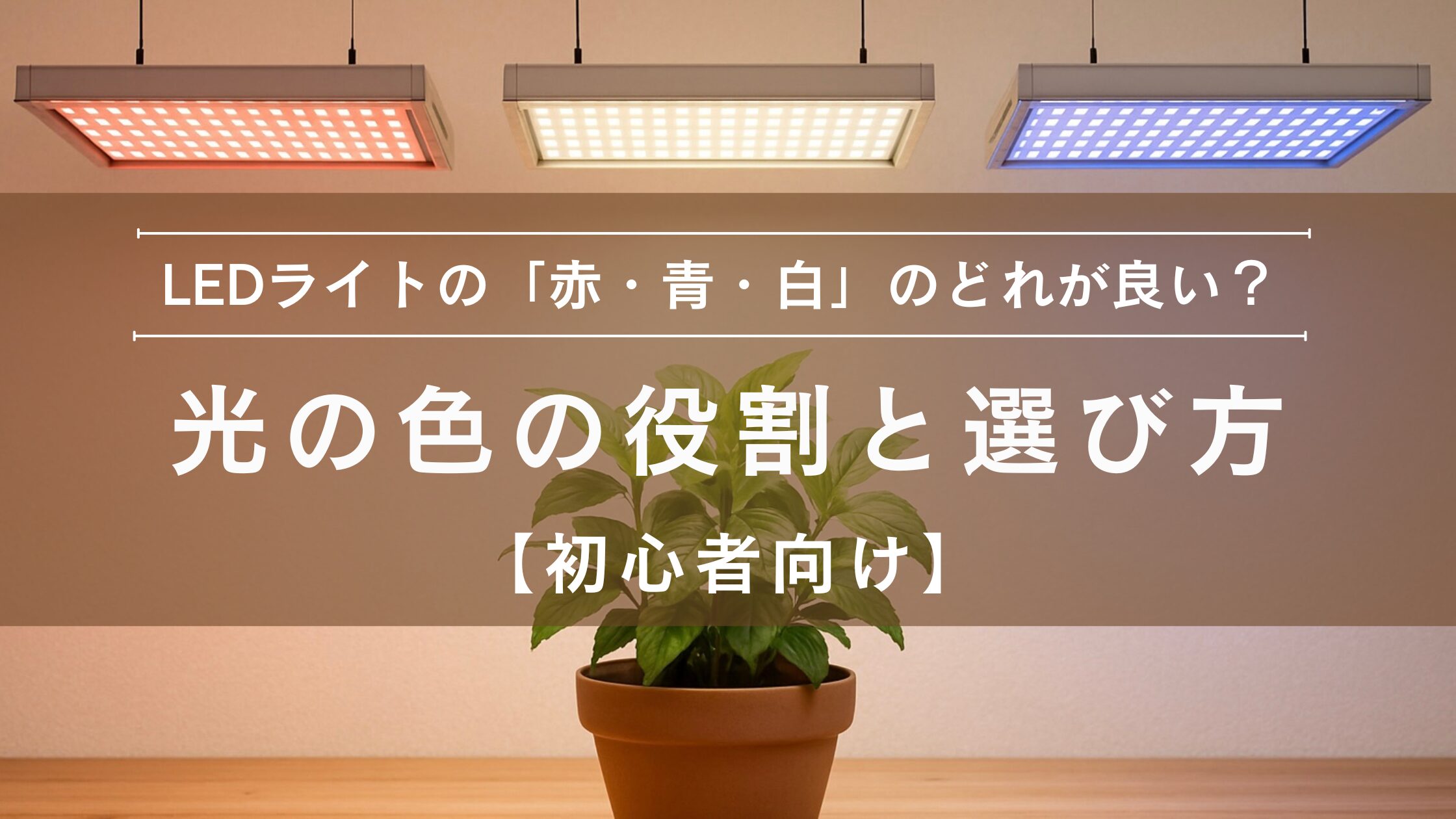LEDライトの「赤・青・白」どれが良い？光の色の役割と選び方【初心者 