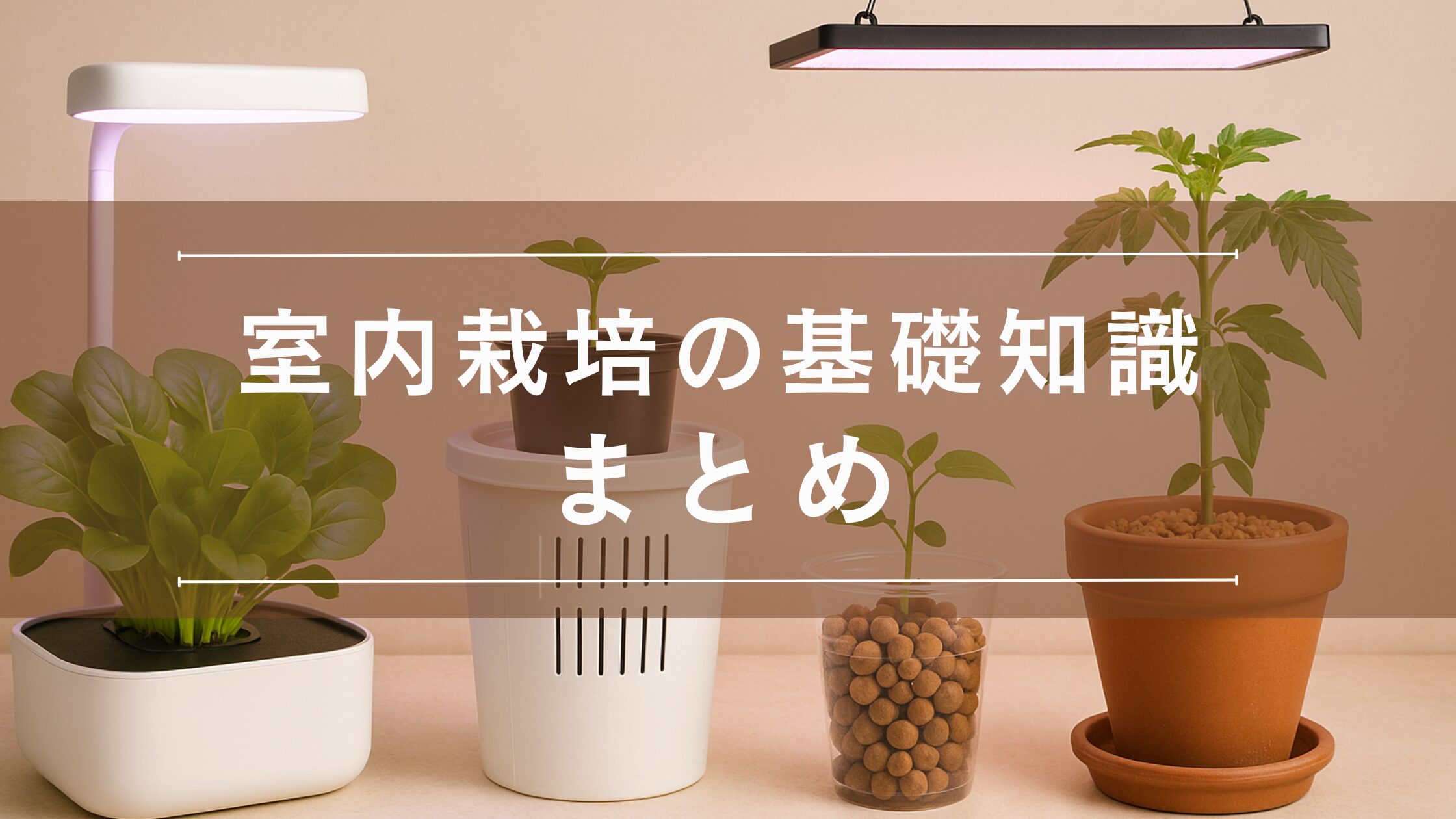 室内栽培の基礎知識